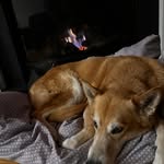 Karen Heard Doolan - @karenhearddoolan - Instagram