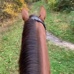 Karen Doris Bødker - @karendorisboedker - Instagram