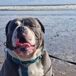 Karen Scott - @karendoris2011 - Instagram