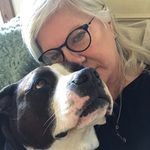 Karen Jean Dorr - @kkdorr55 - Instagram
