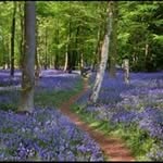Karen Dorrell - @kazd17 - Instagram