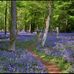 Karen Dorrell - Facebook