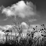 Karen Dowers - @karendowersphotography - Instagram