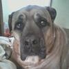 Karen Downes - @karen.downes8 - TikTok