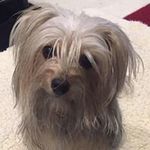 Karen Drucker Kaplan - @hnea4 - Instagram