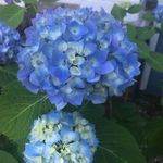Karen Drucker-Stern - @kroder_123 - Instagram