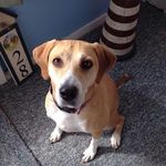 Karen Duell - @duellkaren - Instagram