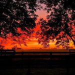 KAREN LONG DWIGHT - @karenlongdwight - Instagram