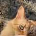 Karen Dye - Facebook