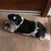 Karen Dye - Facebook