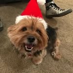 Karen Dye Babel - @babel_karen - Instagram