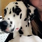 Karen Eales - @kazeales1 - Instagram