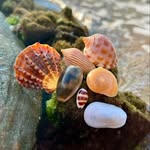 Karen Earls - @kaearls1970 - Instagram
