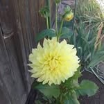 Karen Easter - @easter.karen - Instagram