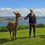 Karen Eccles - @karenraceylady - Instagram