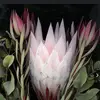 Karen - @kareneccleston264 - TikTok