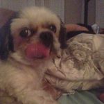 Karen Eichler - @karennm.eichler - Instagram