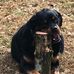 Karen Eidson - Facebook