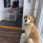 Karen Eilers - @kareneilers53 - Instagram