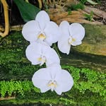 Karen Elder Smith - @kareneldersmith - Instagram