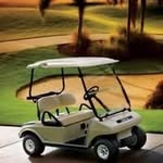 Karen Elders Tillman - @frontenacgolfcarts - Instagram