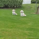Karen Eley - @karen.eley.319 - Instagram