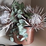 Karen Ensor - @karen.ensor4 - Instagram