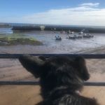 Karen Ensor - @ensork15 - Instagram