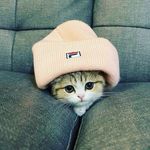Karen Epp - @karenepp - Instagram