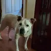 karenbeverly0 - @karenbeverly0 - TikTok