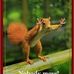 Karen Faller - Facebook