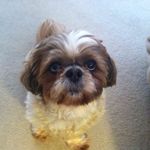 Karen Ferrell - @karen.ferrell - Instagram