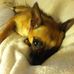 Karen W. Ferrell - Facebook