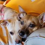 Karen Flatt Brown - @flattbrown - Instagram