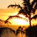 Karen Flavin - Facebook