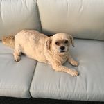 Karen Flicker - @flicker.karen - Instagram