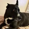 Karen Flory - @karen.flory4 - TikTok