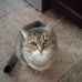 Karen Gallivan - Facebook