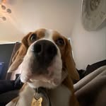 Karen Garside - @karencgarside - Instagram