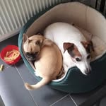 Karen Garsides - @garsideskaren - Instagram