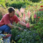 Karen Geiser - @karensgarden__ - Instagram