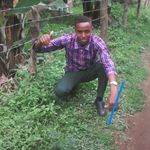 gideon karengi - @karengigideon - Instagram