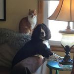 Karen Ruddock - @karengregorian - Instagram