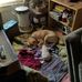 Karen A. Green - Facebook