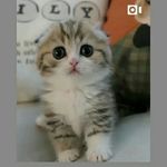 karen greiner - @greinerk538 - Instagram