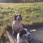 Karen Gresham - @gresham.karen - Instagram
