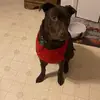 karengruber651 - @karengruber651 - TikTok