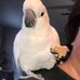 Karen Guess - Facebook