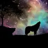 Karen Heckman - @karen.heckman - TikTok