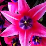 Karen Haddon - @karen.haddon.9 - Instagram